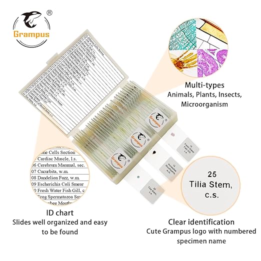 30 Prepared Microscope Slides with Specimens for Kids Students - Animals Plants Insects Microorganism, for Biological Science Lab, Children's Science Education, Homeschool-CubbioJoy