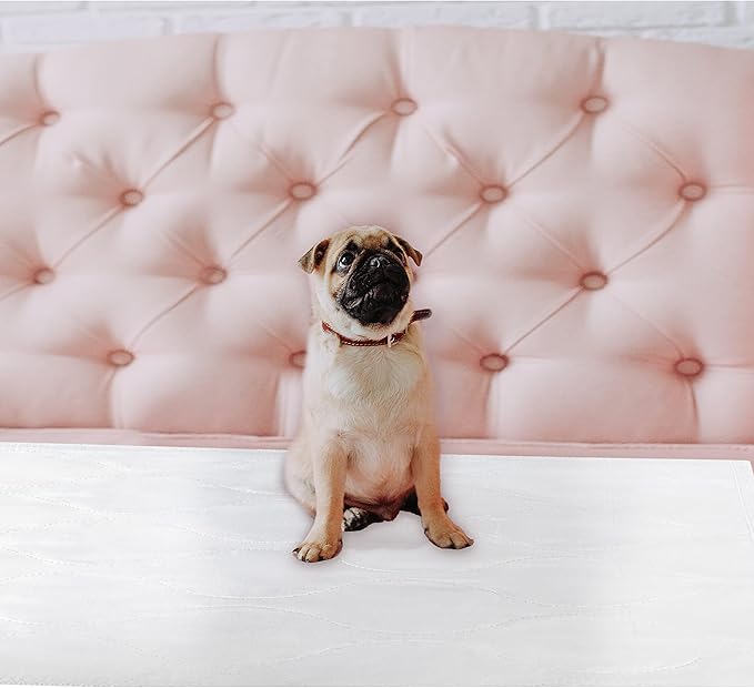 Inspire Super and Ultra Absorbent Reusable Bed Pads (23" X 36" Reusable 2 Pack)-CubbioJoy