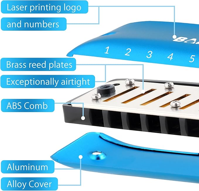 BabyFat 7 Hole Blues Mini Harmonica Set,Diatonic Harmonica with free lanyards,Gifts for Kids and Beginners,Easy-playing Musical Instrument(A Key）-CubbioJoy