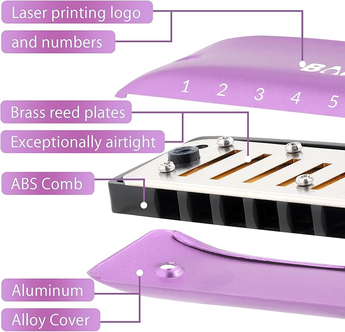 BabyFat 7 Hole Blues Mini Harmonica Set,Diatonic Harmonica with free lanyards,Gifts for Professional Players and Beginners,Easy-playing Musical Instrument(Key of D）-CubbioJoy