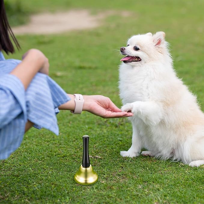 Boao 12 Pieces Metal Hand Bells Music Service Hand Bells Musical Instruments Percussion for Christmas Party Supplies(Gold)-CubbioJoy