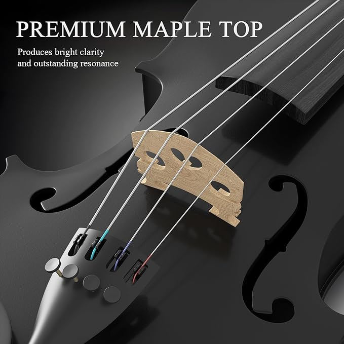 4/4 Beginner Violin Kit for Adults, Complete Full Size Violin Set with Portable Case, Bow, Rosin, Black-CubbioJoy