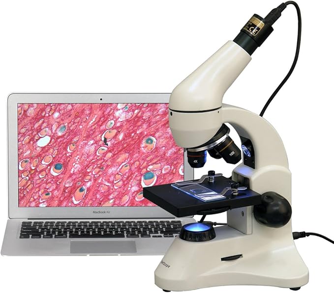 AmScope M120C-2L-PB10-E5 Digital Microscope, WF10x and WF25x Eyepieces, 40x-1000x Magnification, Brightfield, Upper and Lower LED Illumination, Plain Stage, Includes Blank and Prepared Slides, 5MP Camera and Software-CubbioJoy