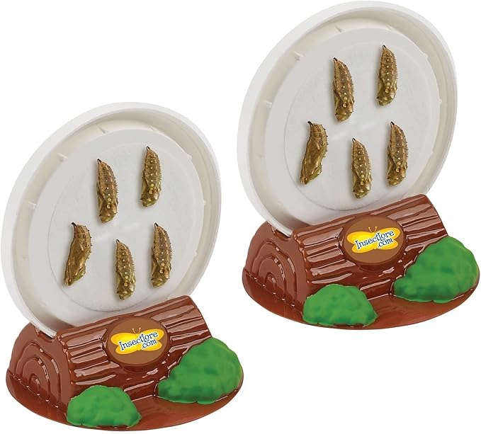 Insect Lore Two Cups of Live Caterpillars - 10 Live Painted Lady Caterpillars with Food - Includes Bonus Butterfly Life Cycle Figurines - Refill for Butterfly Garden Habitat-CubbioJoy