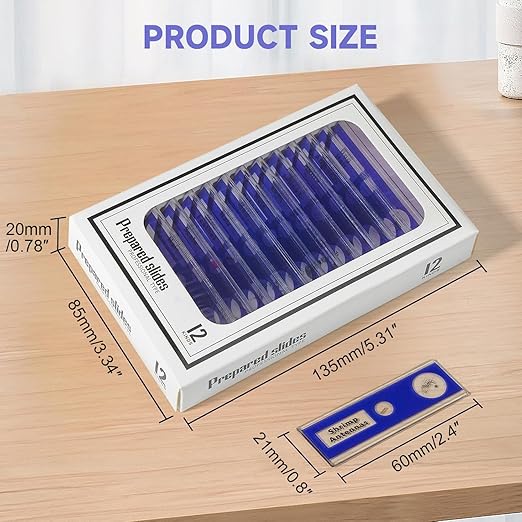 48Pcs Prepared Microscope Slides Specimen Animals Plants Flowers Sample Biological Specimen, Stereo Microscope Slide for Kids Children Students Enlighten Education-CubbioJoy