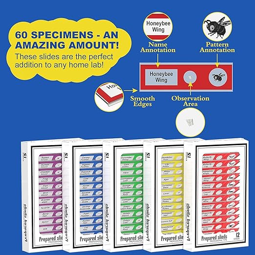 60Pcs Prepared Microscope Slides Specimen Animals Insects Plants Flowers Sample Biological Specimen, Stereo Microscope Slide for Kids Children Students Enlighten Education-CubbioJoy