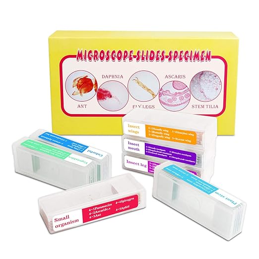 35PCS Prepared Microscope Slides with 7 Types Specimens, Insect/Plant Glass Sample Slide for Kids Adults Family Preschool Education Scientific Enlightenment-CubbioJoy