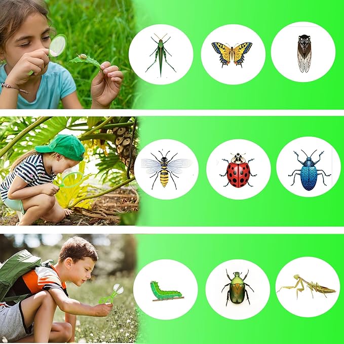 Bug Catcher for Kids - Outdoor Insect Catching Kit with Butterfly Net, Bug Box, and Storage Bag - Non-Toxic Educational Toys for Nature Exploration, for Boys & Girls Ages 3-12-CubbioJoy