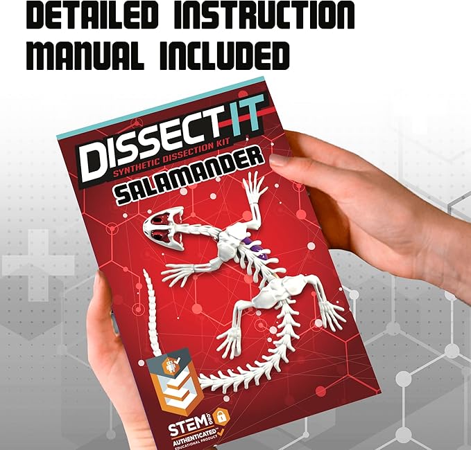Dissect-It Kit for Kids, Simulated Synthetic Lab Dissection Toy, Salamander STEM Toys for Animal Science, Biology, and Anatomy-CubbioJoy