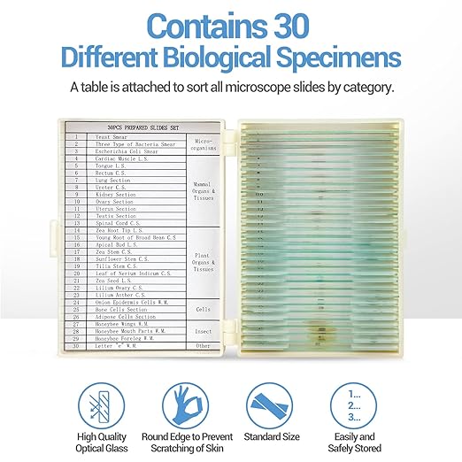 30 Microscope Slides with Specimens for Kids, Prepared Microscope Slides for Kids Microbiology, Glass Slides for Microscope, Biology Gifts for Adults Kids-CubbioJoy