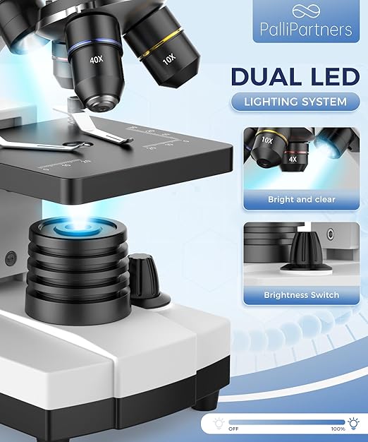 Compound Microscope for Adults & Kids - 100X-2000X High-Power Biological Microscope for Students, School Lab & Home Education, with Slides Set & Phone Adapter (White)-CubbioJoy