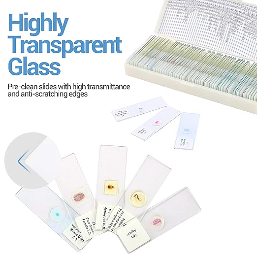 60 Microscope Slides with Specimens for Kids, Prepared Microscope Slides for Kids Microbiology, Prepared Microscope Slides for Adults-CubbioJoy