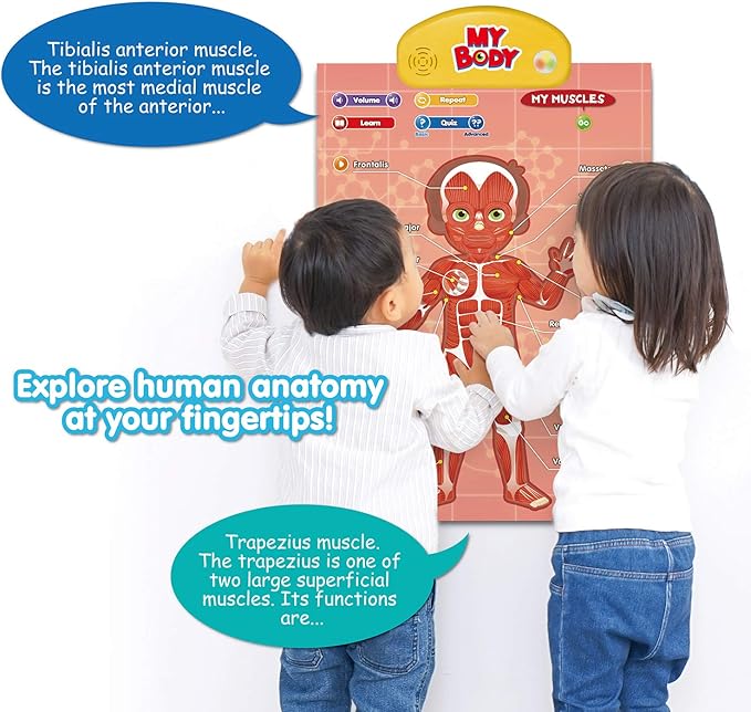 BEST LEARNING i-Poster My Body - Interactive Educational Human Anatomy Talking Game Toy | Learn Body Parts, Organs, Muscles and Bones for Kids Aged 5 to 12 Years Old-CubbioJoy
