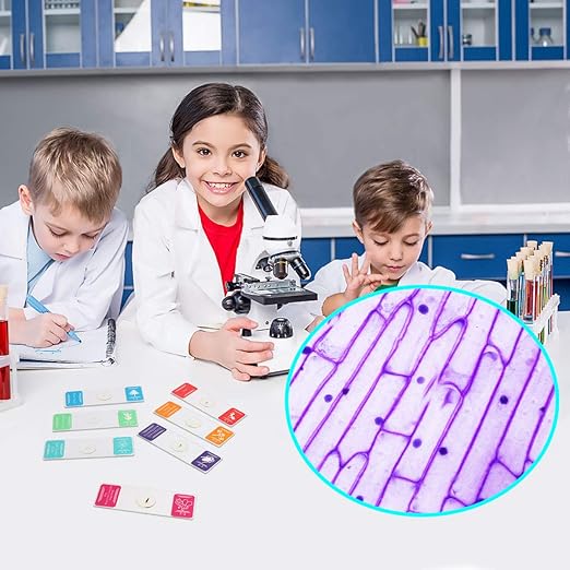 35PCS Prepared Microscope Slides with 7 Types Specimens, Insect/Plant Glass Sample Slide for Kids Adults Family Preschool Education Scientific Enlightenment-CubbioJoy