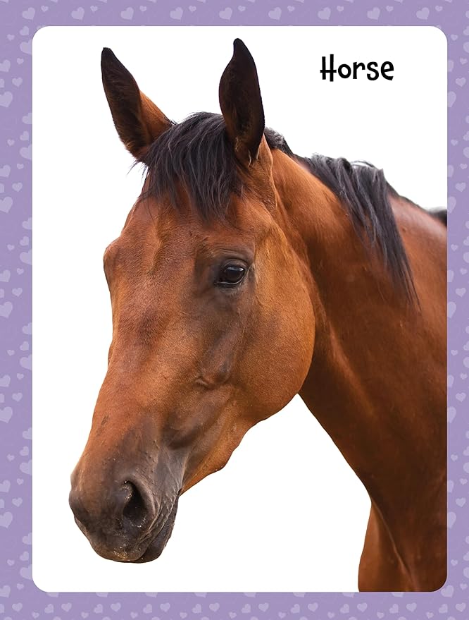 Cute Animals Poster Sticker Book - 4-Book Bundle for Kids Ages 3+, 400+ Stickers, 28 Mini Posters, 4 Giant Fold-Out Posters in 48 Full-Color Pages-CubbioJoy