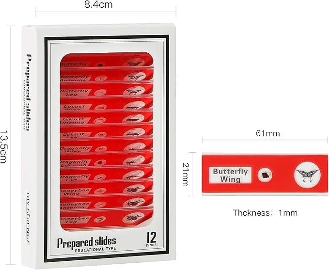 48 Prepared Microscope Slides Set of Animals Insects Plants Flowers, Biological Learning Resource Specimens for Kids Beginner Classroom Basic Science Education-CubbioJoy