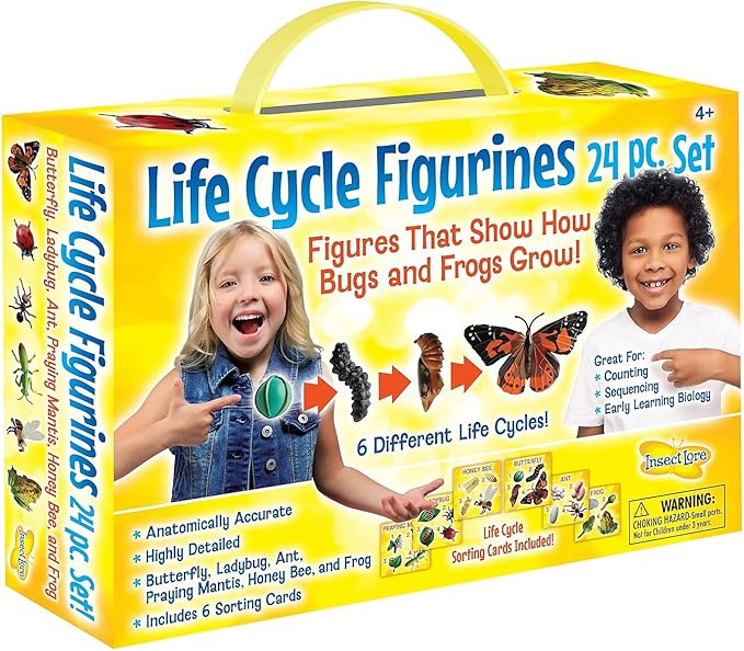 Insect Lore's Life Cycle Figurines 24 Pc Set | Butterfly, Ladybug, Frog, Honey Bee, Ant and Praying Mantis | 4 Stages Per Insect, 24 Figurines Total-CubbioJoy