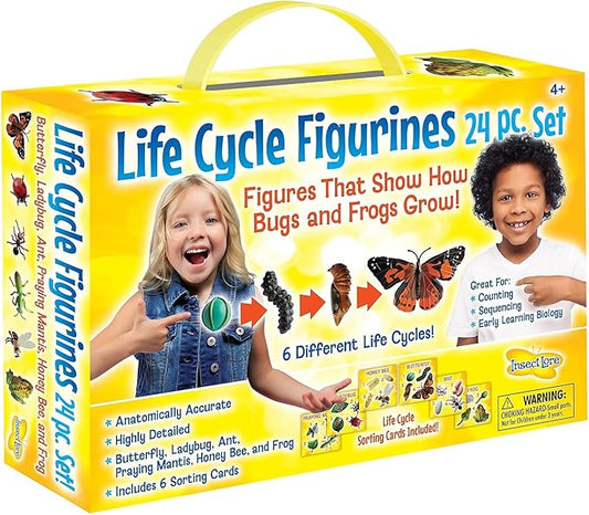 Insect Lore's Life Cycle Figurines 24 Pc Set | Butterfly, Ladybug, Frog, Honey Bee, Ant and Praying Mantis | 4 Stages Per Insect, 24 Figurines Total-CubbioJoy