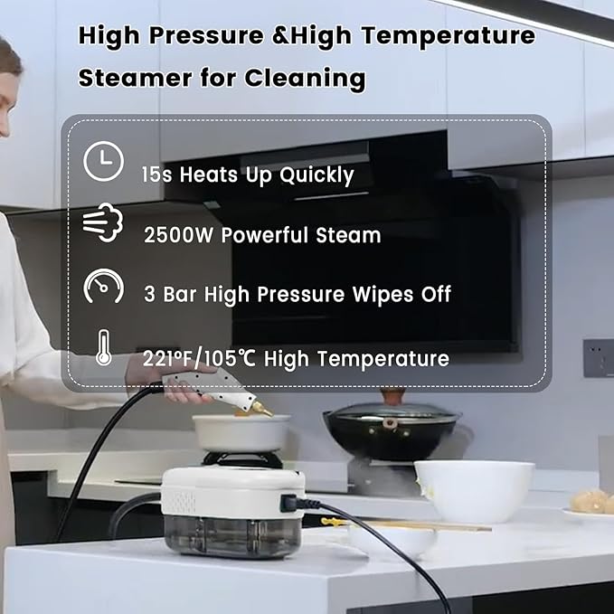 2500W Handheld Steam Cleaner,Portable Car Steamer For Auto Detailing,High-Temperature and Pressure Steam Cleaner For Home, Steam Cleaning Machine for Furniture,Kitchen,Grout,Floor,Tile (6-White)-CubbioJoy