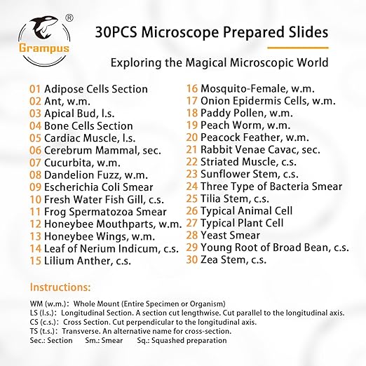 30 Prepared Microscope Slides with Specimens for Kids Students - Animals Plants Insects Microorganism, for Biological Science Lab, Children's Science Education, Homeschool-CubbioJoy
