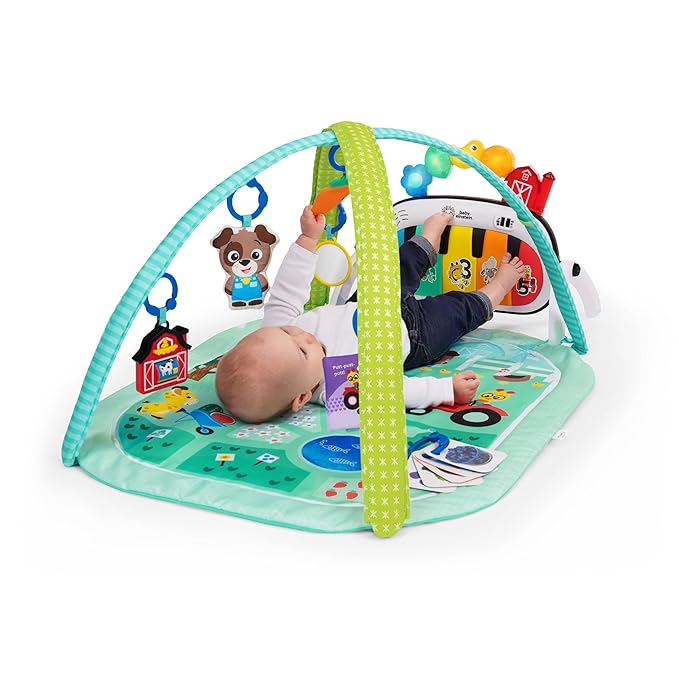 Baby Einstein Farm Explorers 4-in-1 Kickin’ Tunes Musical Meadow Music & Language Discovery Gym, Ages 0 Months and Up-CubbioJoy