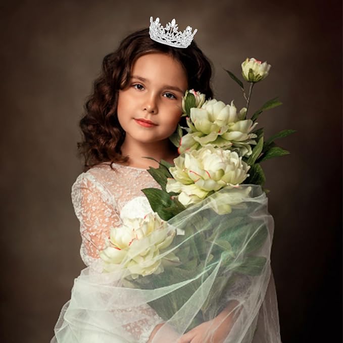 CAVETEE Mini Crown Cake Topper, Small Princess Tiara Crystal Crown Flower Bouquets Accessories for Cake Topper, Flower Arrangements and Decorations (silver)-CubbioJoy