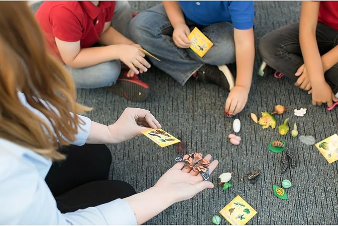 Insect Lore's Life Cycle Figurines 24 Pc Set | Butterfly, Ladybug, Frog, Honey Bee, Ant and Praying Mantis | 4 Stages Per Insect, 24 Figurines Total-CubbioJoy