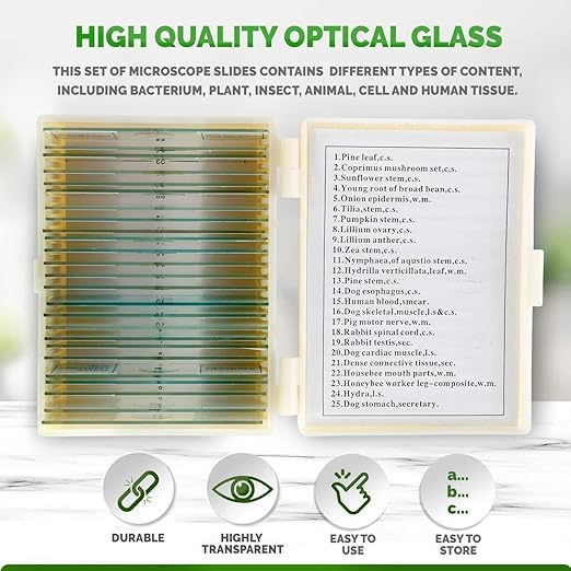 AmScope 25pc Prepared Glass Microscope Slides in Plastic Case with Plant, Fungus, Insect and Mammal Specimens-CubbioJoy