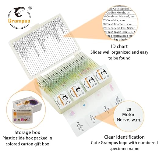 30 Prepared Microscope Slides with Specimens for Kids Students-Animal and Plant Microscope Slide Sets - Random Delivery (Either One Set) for Biological Lab, Children's Science Education, Homeschooling-CubbioJoy