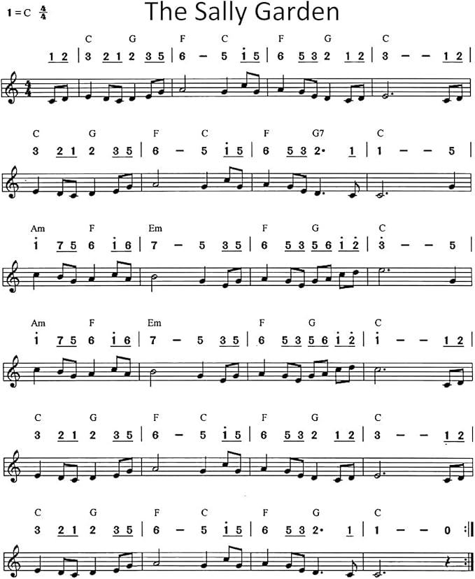 4PCS Key of C 10 Hole 10 Tones Titanium Color Harmonica with Case for Beginner Students Kids（Gold, Purple, Green, Blue）-CubbioJoy