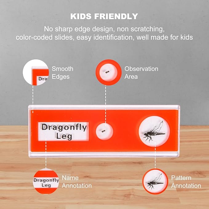48 Prepared Microscope Slides Set of Animals Insects Plants Flowers, Biological Learning Resource Specimens for Kids Beginner Classroom Basic Science Education-CubbioJoy