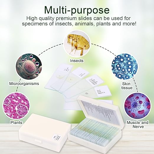 30 Microscope Slides with specimens, Plants, Insects, Animal Cell Samples for use in Biological Science Labs for Children, Students and homeschools-CubbioJoy