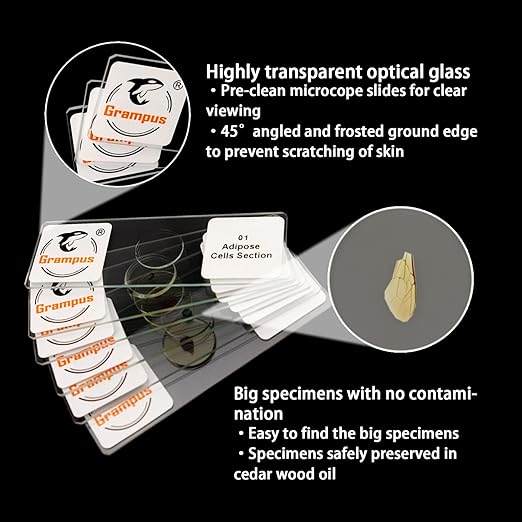 30 Prepared Microscope Slides with Specimens for Kids Students-Animal and Plant Microscope Slide Sets - Random Delivery (Either One Set) for Biological Lab, Children's Science Education, Homeschooling-CubbioJoy