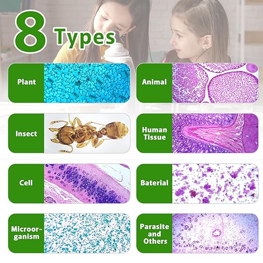 60 Microscope Slides with Specimens,Prepared Microscope Slides for Kids,Glass Slides for Microscope,Prepared Slides for Kids Microscope,Microscope Slide Preparation Kit for Biology Science Classes-CubbioJoy