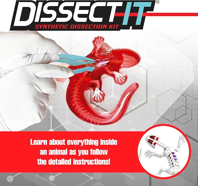 Dissect-It Kit for Kids, Simulated Synthetic Lab Dissection Toy, Salamander STEM Toys for Animal Science, Biology, and Anatomy-CubbioJoy