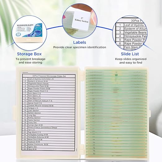 30 Microscope Slides with Specimens, Prepared Microscope Slides Set with Plants Animals Insects for Adults Students Homeschool Basic Biological Science Education-CubbioJoy