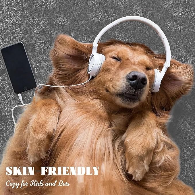 4x6 Area Rug for Living Room: Fluffy Shag Soft Washable Rugs Fuzzy Plush Indoor Carpet for Bedroom Nursery Playroom Dorm Kids Girls Boys Room (Dark Grey, 4'x6')-CubbioJoy