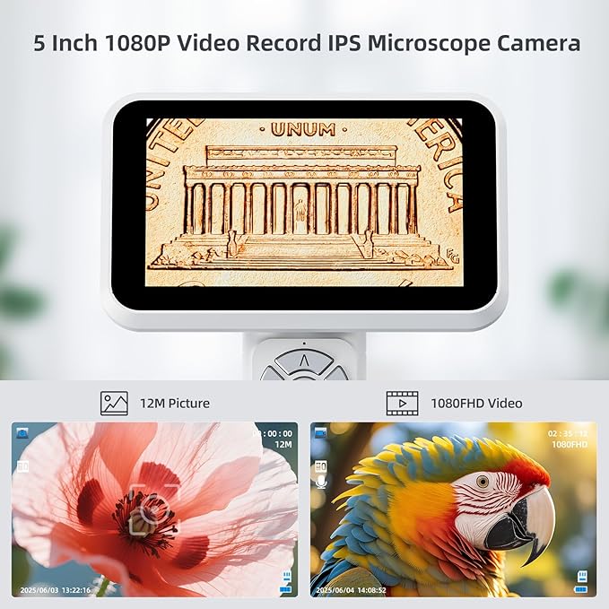 Andonstar Digital Microscope, 5" 1080P Coin Microscope Camera for Error Coin with 7.3" Metal Stand for Adults Kids, Handheld USB Coin Magnifier with 8 Adjustable LED Lights, Windows Mac PC View, AD115-CubbioJoy