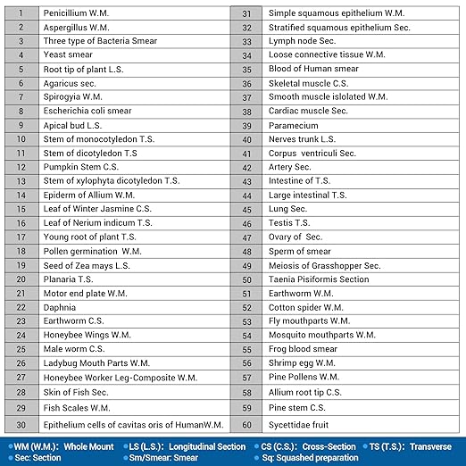 60 Microscope Slides with Specimens for Kids, Prepared Microscope Slides for Kids Microbiology, Prepared Microscope Slides for Adults-CubbioJoy