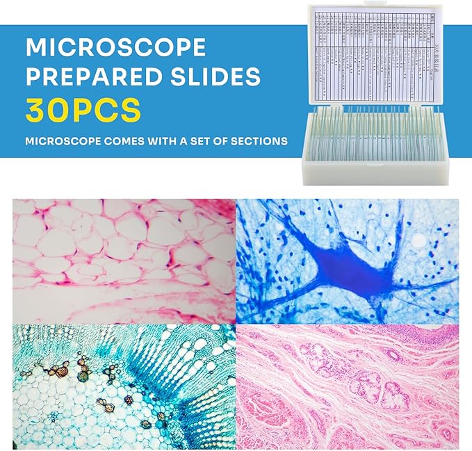 40X-2000X Microscopes for Kids Students Adults, with Microscope Prepared Slides 30p, Microscope Accessories, Phone Adapter, Microscopes for School Laboratory Home Education-CubbioJoy
