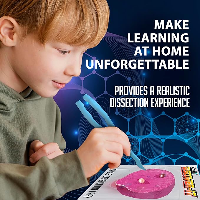 Discover-It Dissection Kit for Kids, Real Freshwater Pearl Science Lab Kit for Oysters, Science Toys for Kids Ages 5 and Above-CubbioJoy