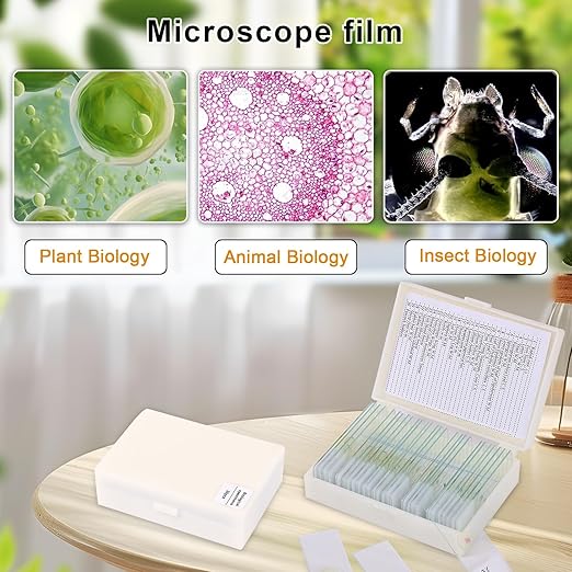 30 Microscope Slides with specimens, Plants, Insects, Animal Cell Samples for use in Biological Science Labs for Children, Students and homeschools-CubbioJoy