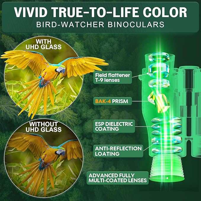 Aurosports 16x32 Compact Binoculars for Adults and Kids - High Powered Small Binoculars with Low Light Vision - Easy Focus Lightweight binos for Bird Watching Hunting Travel Hiking-CubbioJoy