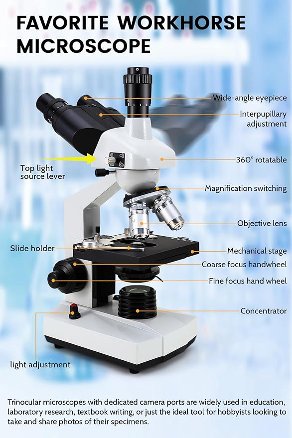 40X-5000X Compound trinocular Microscopes trinocular for Adults, with 5.0 mp Camera with Microscope Slides 30p, Microscope Accessories, Microscopes for School Laboratory Home Education Abbe Condenser-CubbioJoy