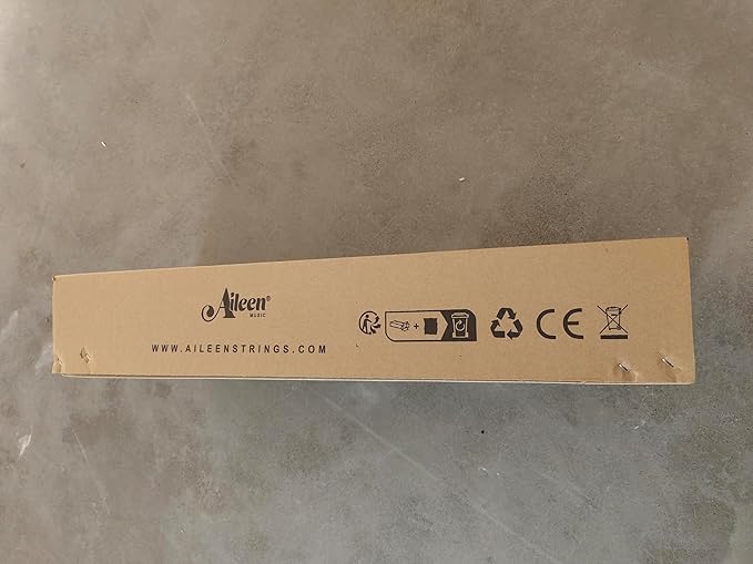 Aileen Solid Wood Violin 4/4 Full Size for Adults and Kids Age 12+, Fiddle Set for Beginners Student, Professional Violin Starter Kit with 12 Accessories (Selected European Solid Spruce and Maple)-CubbioJoy