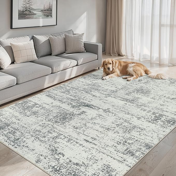 Area Rugs Living Room Rug - 4x6 Washable Modern Abstract Soft Neutral Non-Slip Carpet Large Indoor Floor Stain Resistant Thin Carpets for Bedroom Dining Room Farmhouse Nursery Home Office Grey-CubbioJoy