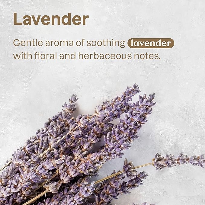 ATTITUDE Air Purifier with Activated Carbon Filter, Plant- and Mineral-Based Ingredients, Traps Pet Odors and Pollutants, Vegan and Cruelty-free, Lavender, 8 Ounces-CubbioJoy