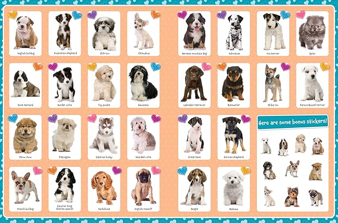 Cute Animals Poster Sticker Book - 4-Book Bundle for Kids Ages 3+, 400+ Stickers, 28 Mini Posters, 4 Giant Fold-Out Posters in 48 Full-Color Pages-CubbioJoy