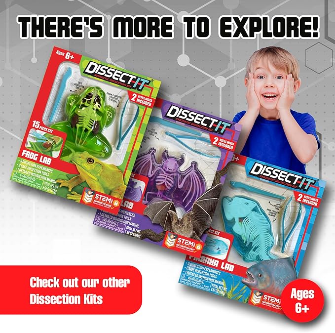 Dissect-It Kit for Kids, Simulated Synthetic Lab Dissection Toy, Salamander STEM Toys for Animal Science, Biology, and Anatomy-CubbioJoy