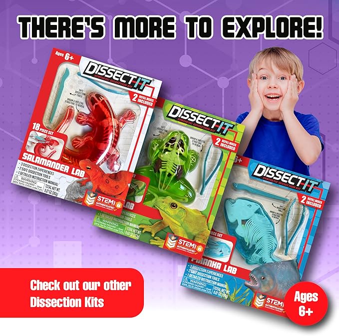 Dissect-It Simulated Synthetic Lab Dissection Toy, STEM Projects for Kids, Animal Science, Biology, and Anatomy Home Learning Kit, Bat-CubbioJoy